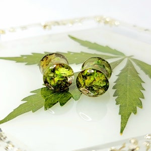 May include: A pair of clear resin ear gauges filled with green plant matter. The gauges are set on a white surface with a green leaf design. A distinctive accessory.
