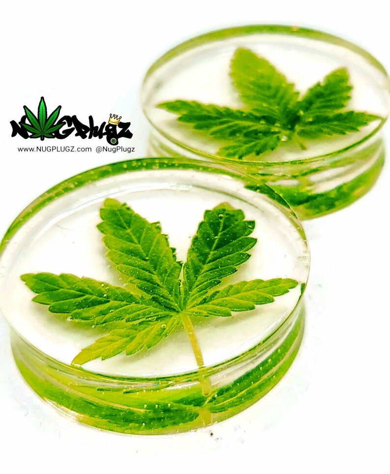 Pot Leaf Plugs, Double Flare, Ear Plugs, Gauges, Sugar Leaf, Weed in