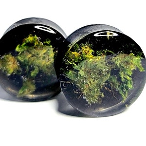 Puede incluir: Dos tapones para los oídos oscuros y redondos con un exterior de resina transparente. El interior de cada tapón presenta un diseño detallado de planta verde y amarilla, creando una estética natural única. Los tapones están sobre un fondo blanco brillante.