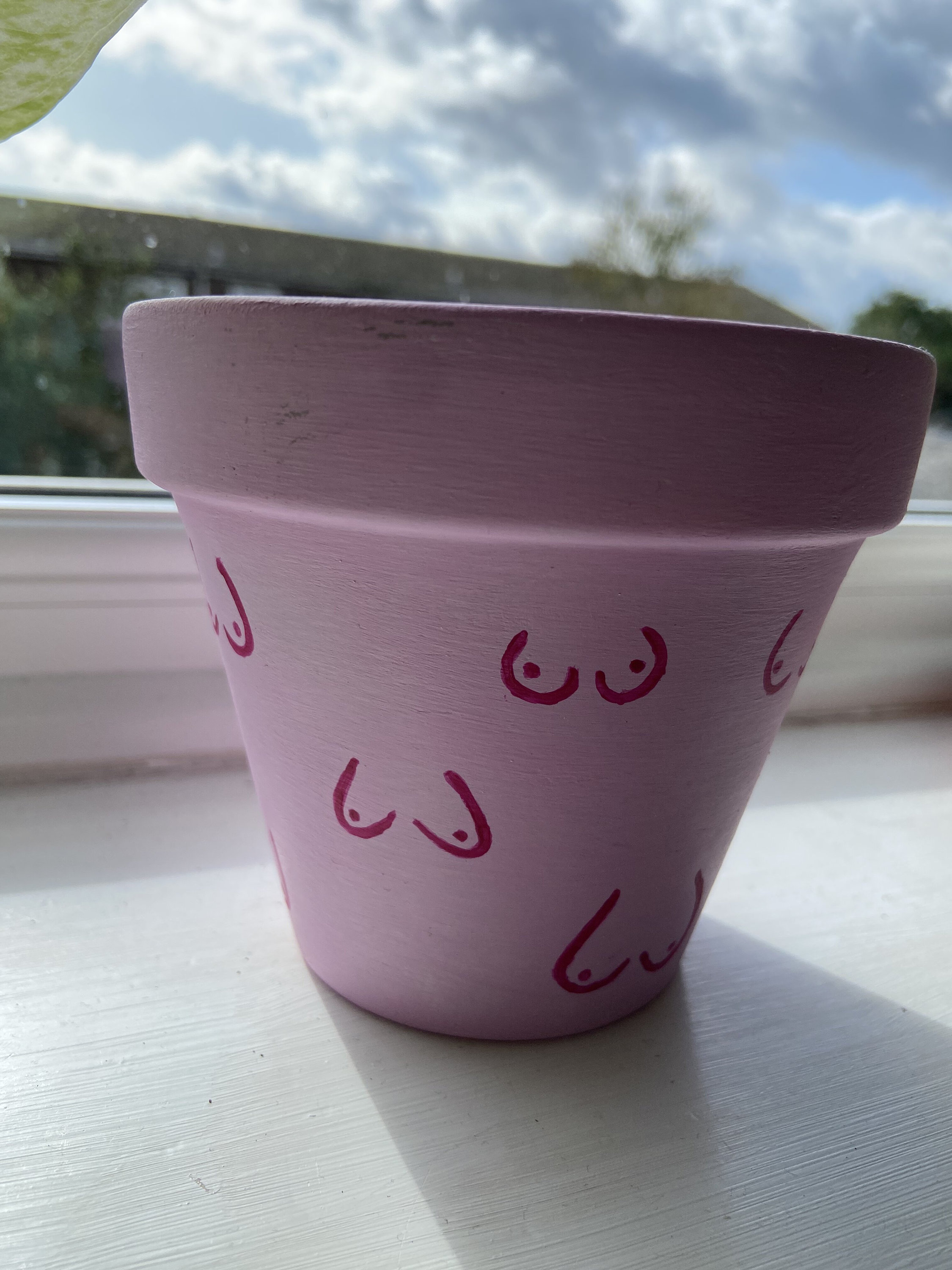 PERSONALISED BOOB POTS AVAILABLE! Look at the - Depop