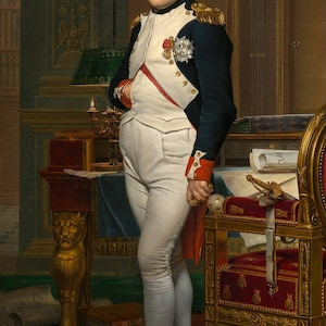 Napoleon Bonaparte Custom Decaled LEGO Minifigures! image 3