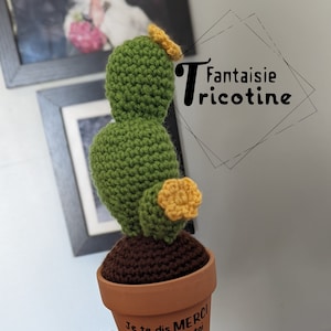 Crochet cactus with personalized phrase for educator or teacher