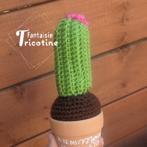 Crochet cactus with custom phrase for educator or teacher