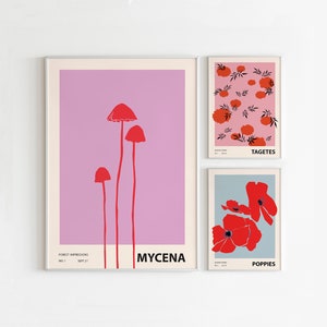 Eclectic Gallery Wall Art Prints: Tagetes, Poppies, Mycena (Digital Download)