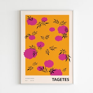 Colorful Flower Illustration Print, Abstract botanical wall art, Eclectic home decor, Tagetes 01