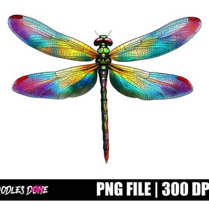 Dragonfly-png-bestand | Libellenkunst | Sublimatie shirt libelle | Transparant ontwerp met libel | DTG-afdrukken | Directe digitale download