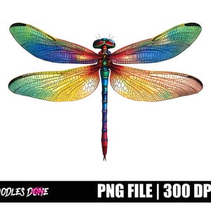 Dragonfly-png-bestand | Libellenkunst | Sublimatie shirt libelle | Transparant ontwerp met libel | DTG-afdrukken | Directe digitale download