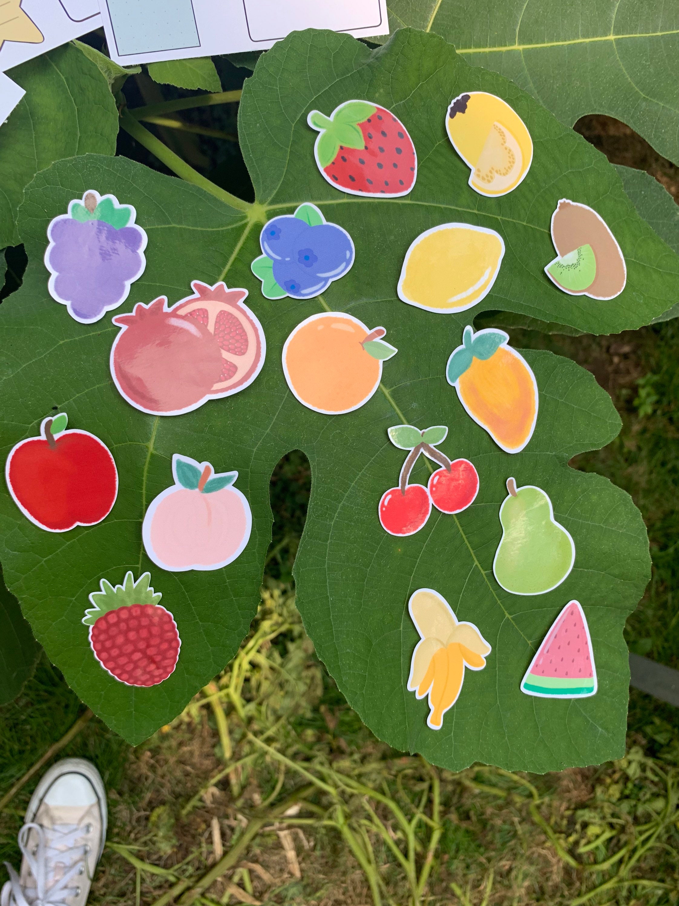 Various Fruit stickers | waterproof sticker | laminated stickers | fr…