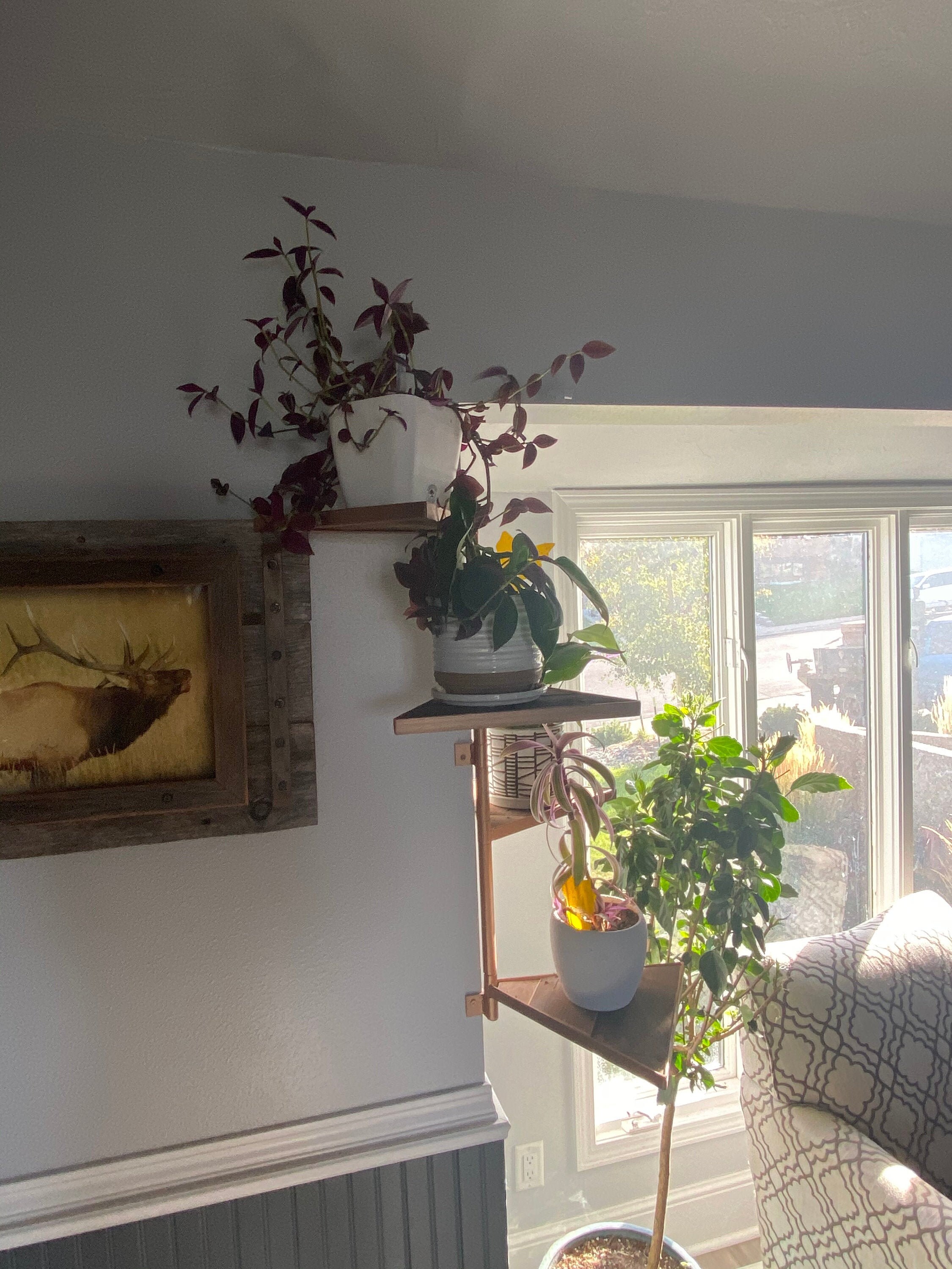 Swivel plant shelves Etsy