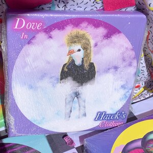 Dove in Hawk&#39;s Clothing 8&quot;x8&quot; Canvas Print by Patterned Dreams