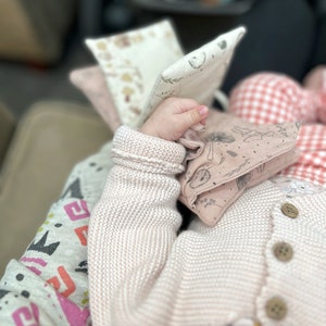 May include: A baby wearing a pink knitted cardigan with brown buttons, holding a pink and white fabric toy with a floral pattern.