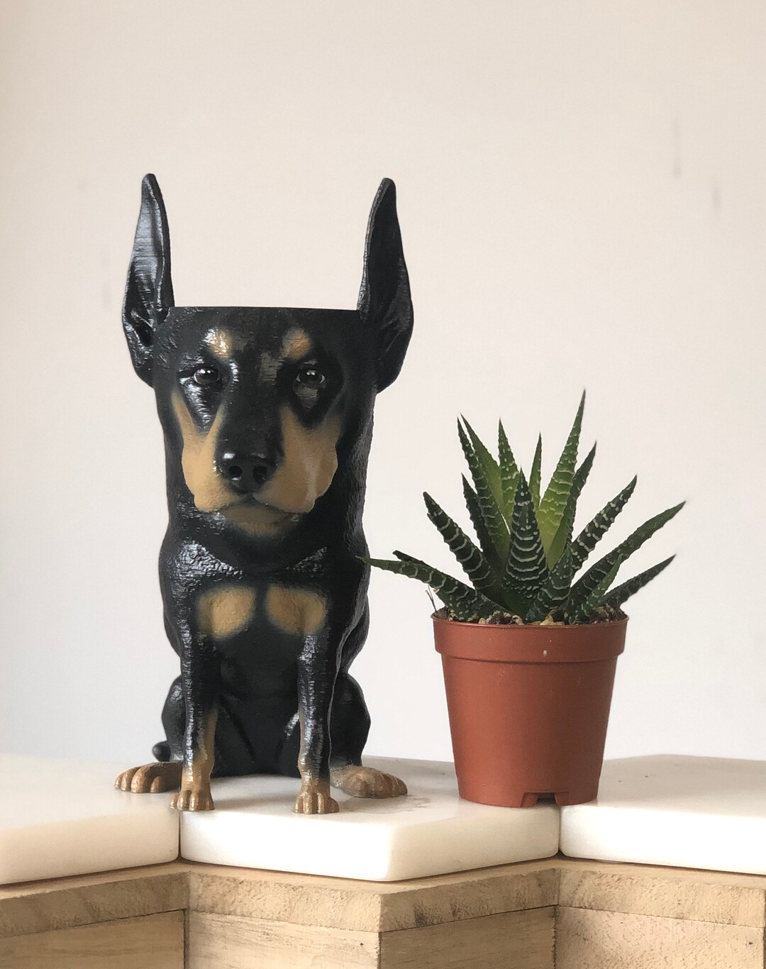 Doberman Tail Docking Length