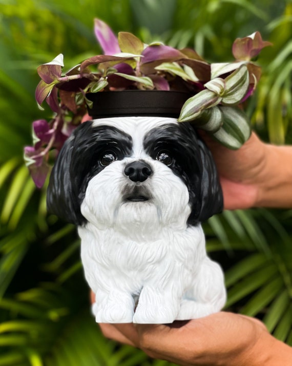 Shih Poo Umbrella - Pat D Shih Poo Umbrella - Pat D