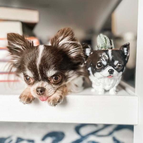 Long Hair Chihuahua Statue Etsy