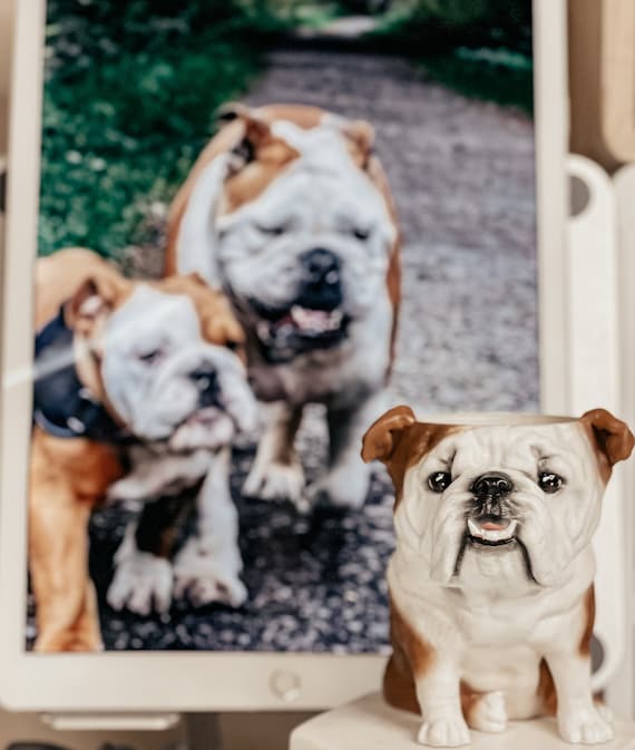 Englische Bulldogge Zahn Hund Custom Blumentopf personalisierte Hundestatue  3d gedruckte Sukkulentenvase/ personalisierte Pflanzenvase - .de