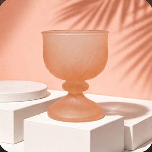 May include: A frosted peach-colored goblet with a detailed floral pattern. The glass has a rounded bowl, a short stem, and a wide base. The goblet is displayed on a white cube, with a peach background and a shadow of a palm leaf.
