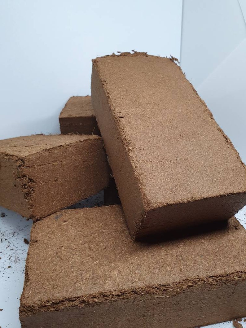 3 x 8 litre Organic coco coir growing media bricks Etsy