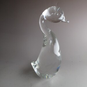 Steuben Duckling