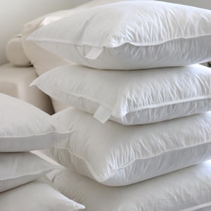 2 Pillow Insert Sets | Genuine Soft Down and Goose/Duck Feather Fill White Pillow Inserts | 20x20 | 18x18