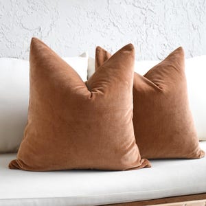 May include: Two rust-colored velvet throw pillows with a soft, textured appearance. The pillows are placed in front of two white pillows, creating a layered effect. The pillows are on a white surface.