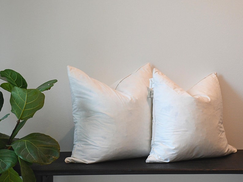 2 Pillow Insert Sets | Genuine Soft Down and Goose/Duck Feather Fill White Pillow Inserts | 20x20 | 18x18 image 2