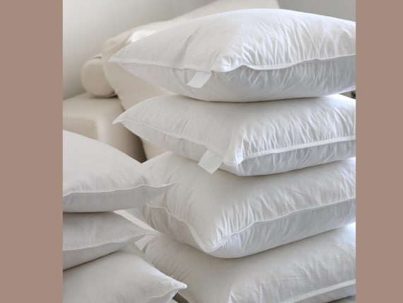 2 Pillow Insert Sets | Genuine Soft Down and Goose/Duck Feather Fill White Pillow Inserts | 20x20 | 18x18