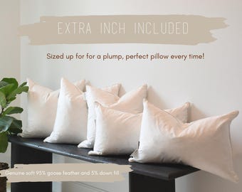 Genuine Soft Down and Goose Feather Fill White Pillow Inserts | 20x20 | 18x18