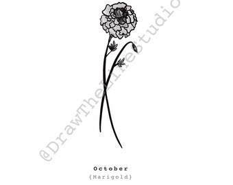 Featured image of post Botanical Marigold Flower Drawing / How to make marigold flower from crepe paper, paper wire and glue.