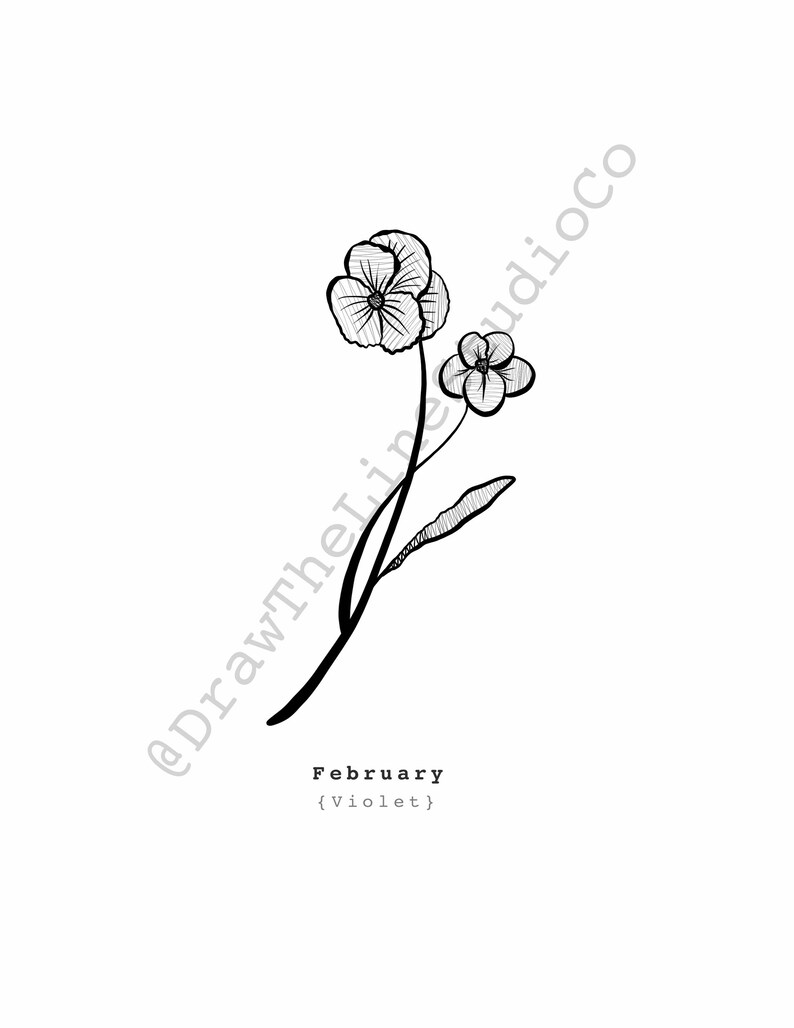 BirthMonth Flower February Violet Drawing Etsy