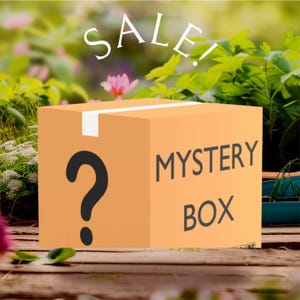 Estate Sale in a Box, Vintage Mystery Box, Surprise  Box, Vintage Surprise Box – Rare & Random Goodies