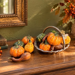 May include: A silver-toned metal basket with a handle filled with assorted miniature pumpkins and gourds in shades of orange, green, and brown. Additional loose pumpkins and a long, curved gourd are arranged on the wooden surface nearby.