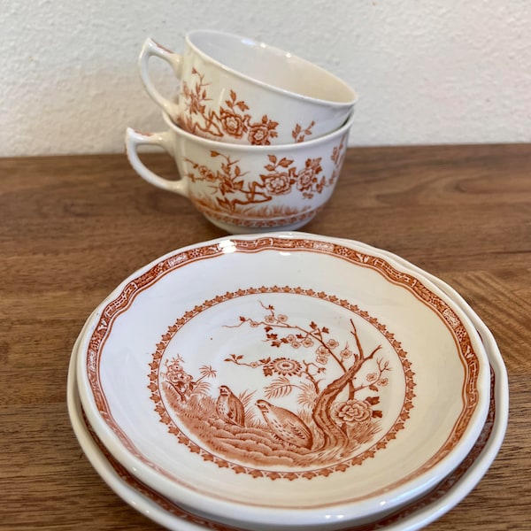 Large and Medium ,Breakfast and Flat Cup & Saucer Sets Quail Brown by FURNIVALS A1123