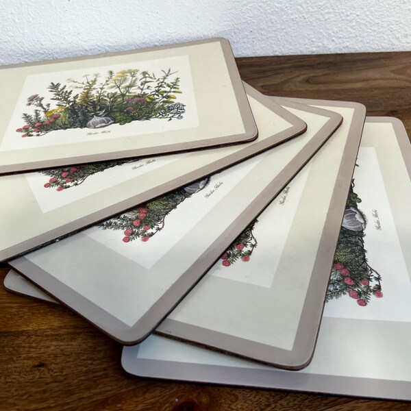 Cork Backed Placemats Etsy