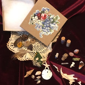 Curiosities Oddities Box Natural History Science Bones Semiprecious StonesShells Natural Materials