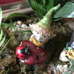 Puede incluir: Una figura en miniatura de un gnomo con un sombrero verde y sosteniendo un hongo rojo con una mariquita negra en la parte superior. El gnomo está sentado en un jardín en miniatura con musgo, piedras y otras plantas.
