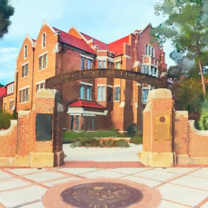 University of Florida (UF)   *great unique gift for graduation, alumni, dorm, school spirit* handmade, ink watercolor, go gaters *Prints*