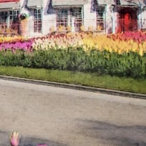 May include: A white building with a red roof and a row of colorful flowers in front of it. The flowers are in shades of pink, yellow, and orange.