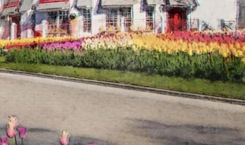 May include: A white building with a red roof and a row of colorful flowers in front of it. The flowers are in shades of pink, yellow, and orange.