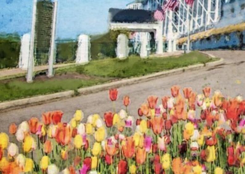 May include: A vibrant flower bed with a variety of colorful tulips in shades of red, orange, yellow, and pink. The tulips are in full bloom and create a beautiful display of color.