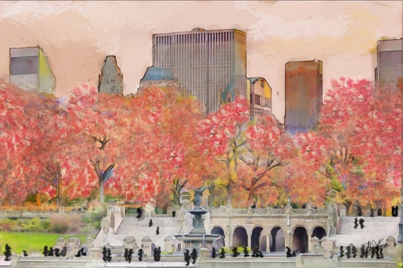 Unique Central Park Manhattan New York Cherry Blossom