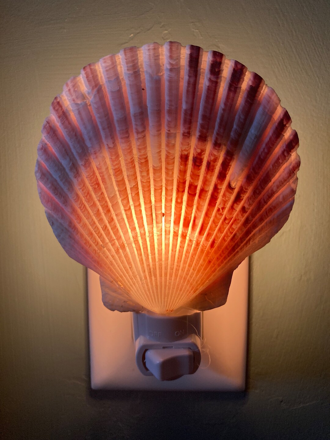 Handcrafted Pink Clam Soft Night Light/ Bathroom Hallway 0.6 Etsy