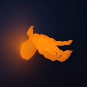 May include: Glowing orange jellyfish-like sculpture against a dark blue background. The illuminated form has multiple appendages and a rounded body, creating a soft, ethereal appearance. The light source appears to be internal, giving the object a warm, inviting glow.