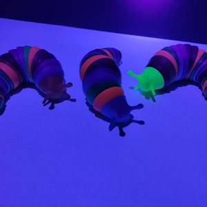 May include: Three colorful, segmented slug toys with a neon green slug. The slugs have a rainbow of colors including orange, purple, and green. The toys are on a blue surface.