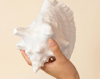 Large White Shell- Conch Shell Decor- Plastic and resin and various size