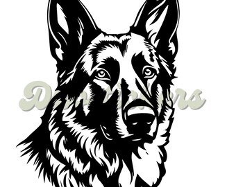 German Shepard K9 Police Dog In Training Stock Photo - Download Image - Foto 3