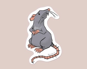 Smiling Rat Vinyl Sticker - Funny Animal, Laptop Decal