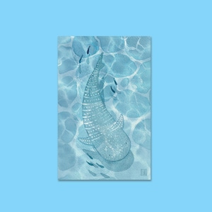 Whale Shark - Vinyl Sticker, Whaleshark, Laptop Sticker, Planner Sticker, Book Sticker, Cute, girly, watercolor
