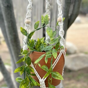 Puede incluir: Un macetero de macramé blanco con cuentas de madera, que sostiene una maceta de terracota con una planta verde.
