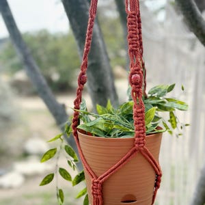 Peut inclure: Un porte-plante en macramé de couleur terre cuite avec des perles en bois, tenant un pot en terre cuite avec une plante verte.