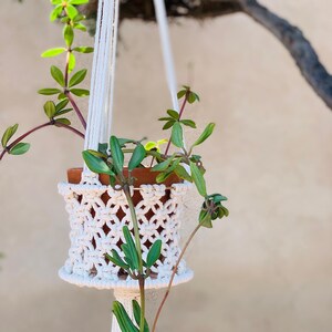Può includere: Un portavasi in macramé bianco con una piccola pianta in vaso appesa. La pianta è verde e ha foglie piccole. Il portavasi è fatto di corda di cotone spessa e ha un fiocco in basso.